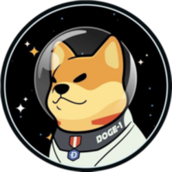 Satellite Doge-1